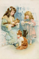 Festa del tè dei gattini